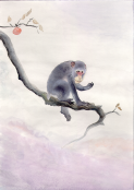 Monkey in a tree